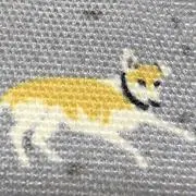 マチルダの画像