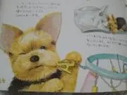 fromヨークシャー