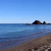 ヒロの画像
