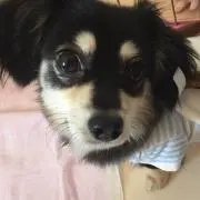 のん