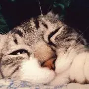 SORA‪✿ 24時間以内発送 ✿の画像