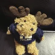 caribou☺︎プロフ読んでね★¨̮の画像