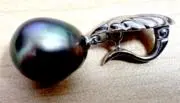 Black Pearlの画像
