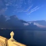 ミヤの画像