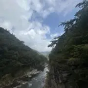 ヤタ