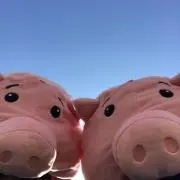 hana☺︎の画像