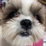 Y.R.Mの画像