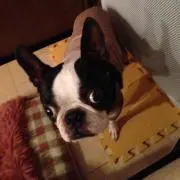 ろみひ〜