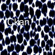 Ckan