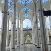 RNの画像