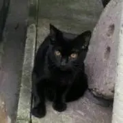 あっとマーク
