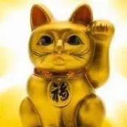 Chimonの画像
