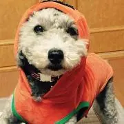 全品セール中‼︎メイ