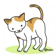 よっしー☆プロフ必読！の画像