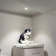 Ka〜niの画像