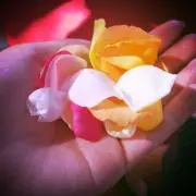 ❁はな❁の画像