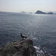 みや