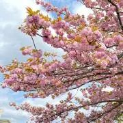 プロフィール必読の画像