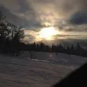 イカ二貫