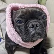 うめまま☆プロフ必読☆
