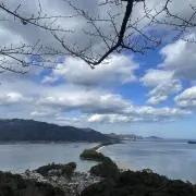 ヨシコの画像