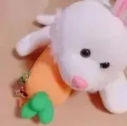 ゆきの画像