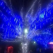 ゆなきちの画像