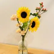 Fuu_5の画像