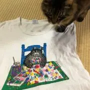 たあの画像