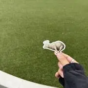 よねの画像