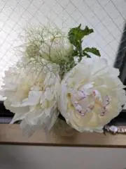 MOの画像
