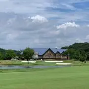 ヨシの画像