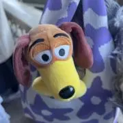 アヤカの画像