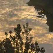 relaxboyの画像