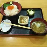 ただしの画像