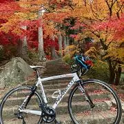 yumokの画像