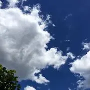 まゆの画像