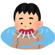 オットセイの画像
