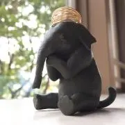 イプ太郎の画像