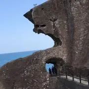 マメシバ