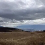 おいもの画像