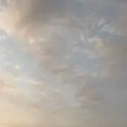 レの画像