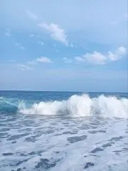大和の画像