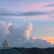 かぼちゃの画像