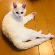 myuの画像