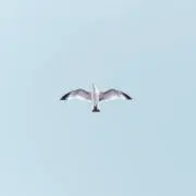 ※断捨離中※はこの画像