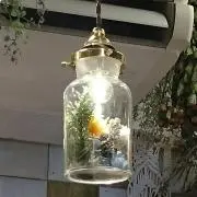 りんりんの画像