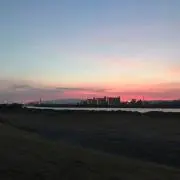 売ります