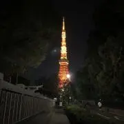 しどの画像