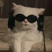 さの画像